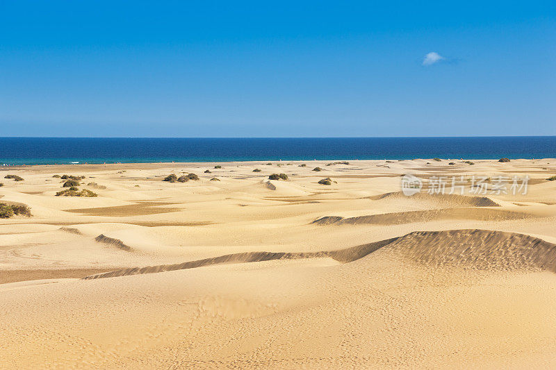 Maspalomas Playa de Ingles沙丘，格兰卡纳利亚